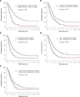 Transarterial chemoembolization for advanced hepatocellular carcinoma without macrovascular invasion or extrahepatic metastasis: analysis of factors prognostic of clinical outcomes